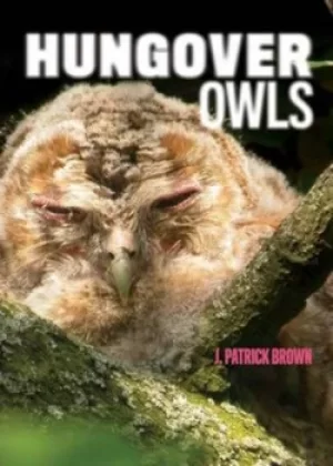 Image of Hungover owls by J. Patrick Brown