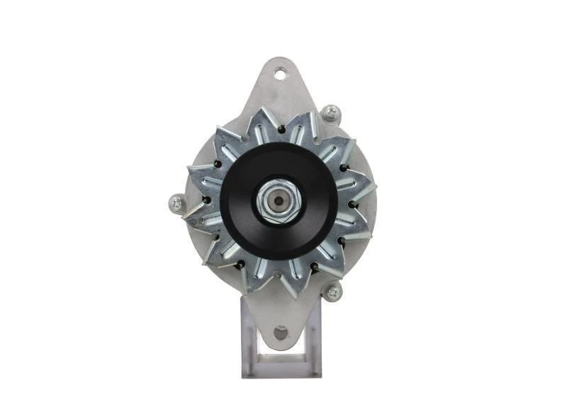 Image of BV PSH Alternator BV PSH 195.002.030.050