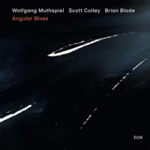 image of Angular Blues by Wolfgang Muthspiel CD Album