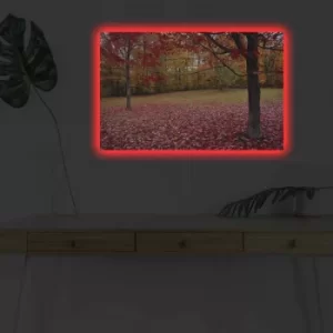Image of 4570DHDACT-041 Multicolor Decorative LED Lighted Canvas Painting