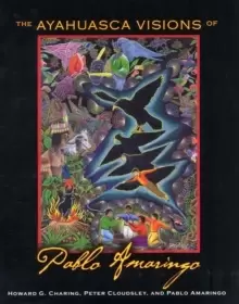 Image of The Ayahuasca Visions of Pablo Amaringo