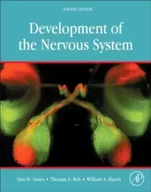 Image of Development of the Nervous System