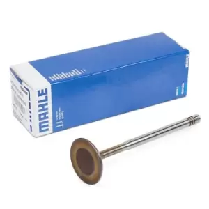Image of MAHLE Original Inlet Valves 029 VE 30528 000 Intake Valves,Inlet Valve VW,AUDI,SKODA,Golf IV Schragheck (1J1),Golf V Schragheck (1K1),POLO (9N_)
