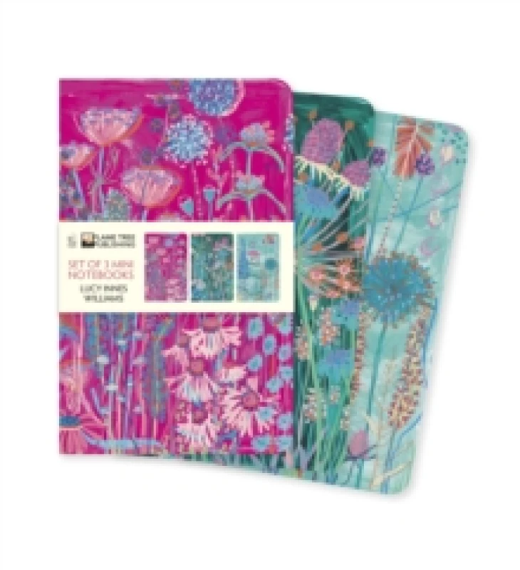 Image of Lucy Innes Williams Set of 3 Mini Notebooks Notebook / blank book