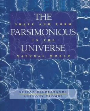Image of The parsimonious universe by Stefan Hildebrandt