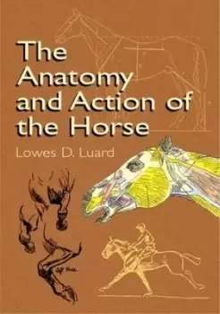 Image of The anatomy and action of the horse by Lowes Dalbiac Luard
