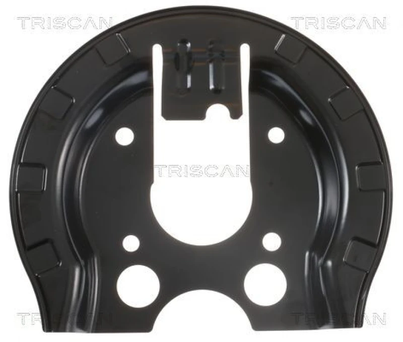 Image of TRISCAN Brake disc backing plate TRISCAN 8125 28203