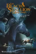 Image of black stallion mystery