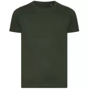 image of Ecologie Childrens/Kids Cascades Organic T-Shirt (12-13 Years) (Bottle Green)