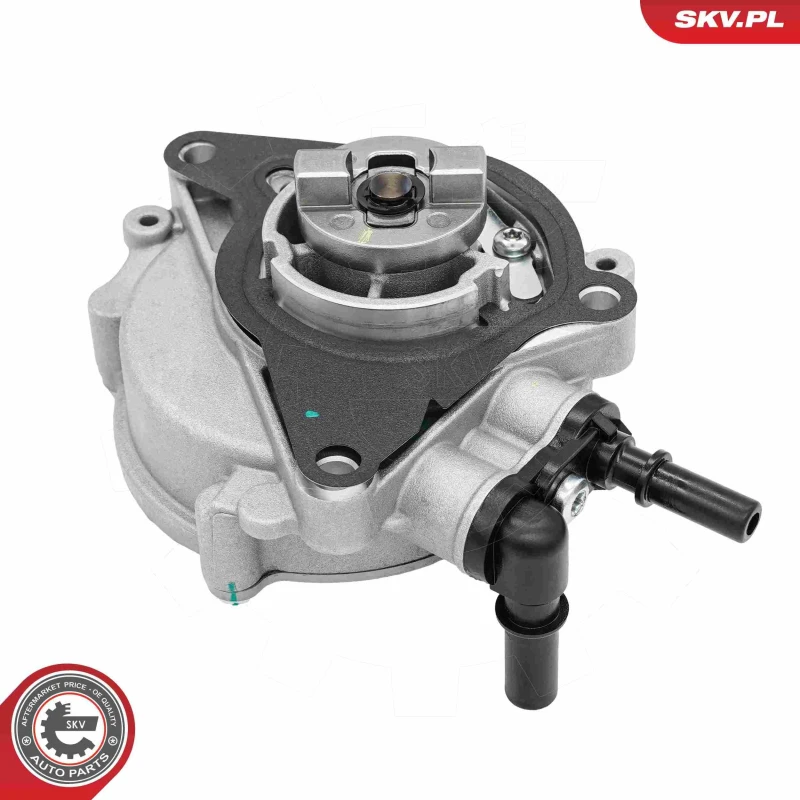 Image of ESEN SKV Brake vacuum pump ESEN SKV 18SKV090
