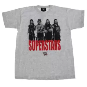 image of WWE Superstars Childrens Boys Wrestling T-Shirt (12-13 Years) (Grey)