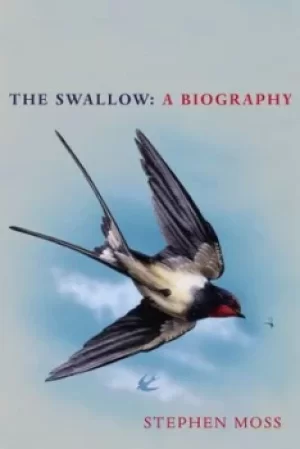 Image of The swallow by Stephen Moss