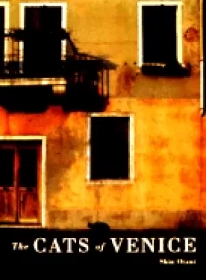 Image of cats of venice