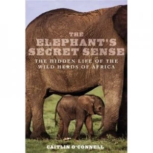 Image of The Elephants Secret Sense Hardback
