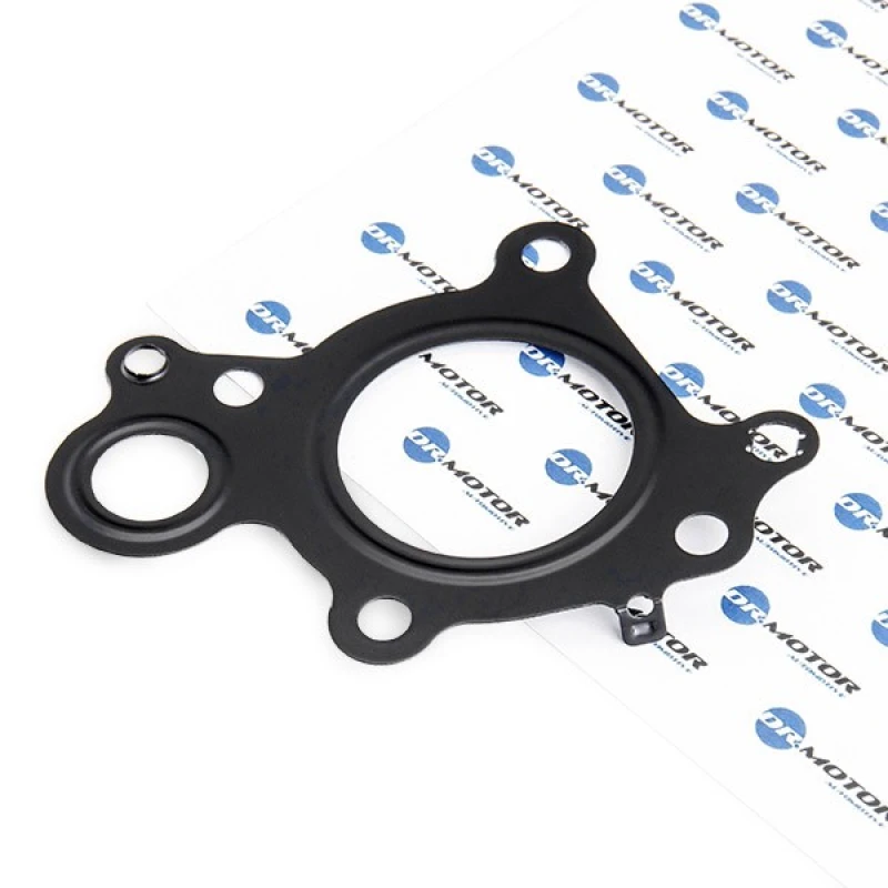 Image of DR.MOTOR AUTOMOTIVE EGR valve gasket DR.MOTOR AUTOMOTIVE DRM0459