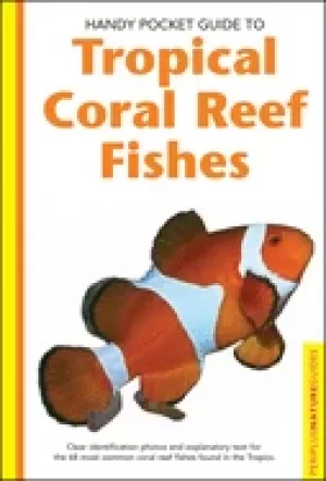 Image of handy pocket guide to tropical coral reef fishes
