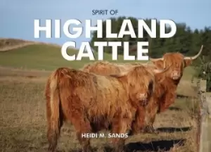 Image of Spirit of Highland Cattle by Heidi M Sands