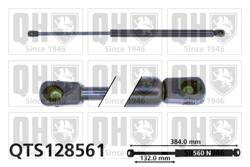 Image of QUINTON HAZELL Tailgate strut QUINTON HAZELL QTS128561