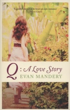 Image of Q by Evan Mandery Book