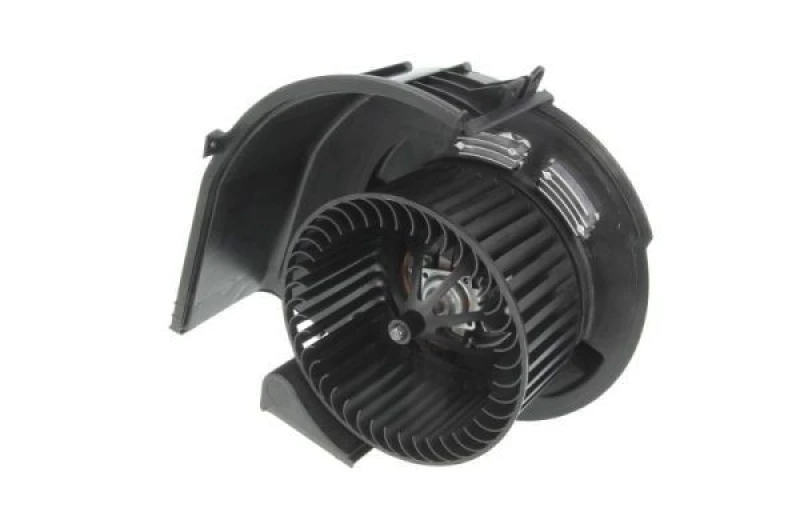 Image of THERMOTEC Blower motor THERMOTEC DDB005TT