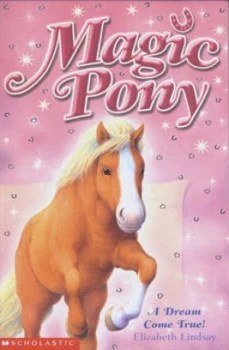 Image of A Dream Come True by Elizabeth Lindsay Paperback