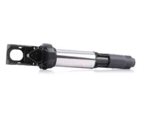 Image of RIDEX Ignition coil 689C0005 Coil pack,Ignition coil pack BMW,PEUGEOT,CITROEN,3 Touring (E91),3 Limousine (E46),3 Limousine (E90),5 Limousine (E60)