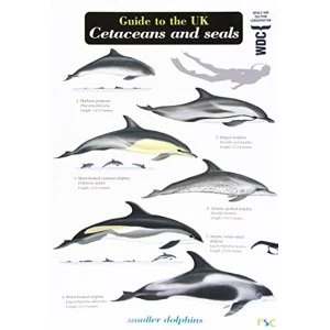 Image of Guide to the UK Cetaceans and Seals Fold-out book or chart 2012
