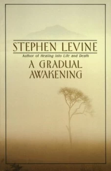 Image of A Gradual Awakening by Stephen Levine Paperback