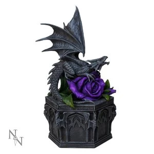 image of Dragon Beauty Box