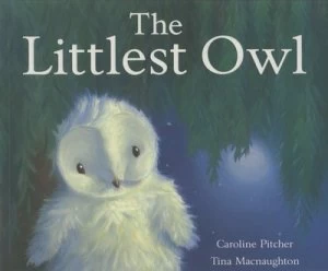 Image of The Littlest Owl by Caroline Pitcher and Tina Macnaughton Paperback
