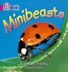 Image of Minibeasts : Band 01a/Pink a