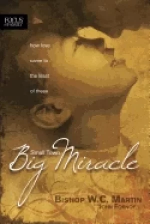 Image of small town big miracle how love came to the least of these
