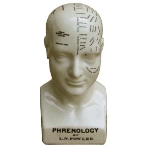 Image of Medium Ceramic Phrenology Head, 25cm