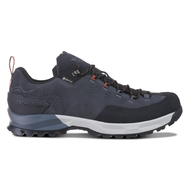 Image of Hiking shoes Dachstein Westgrat LC GTX Noir Male 45