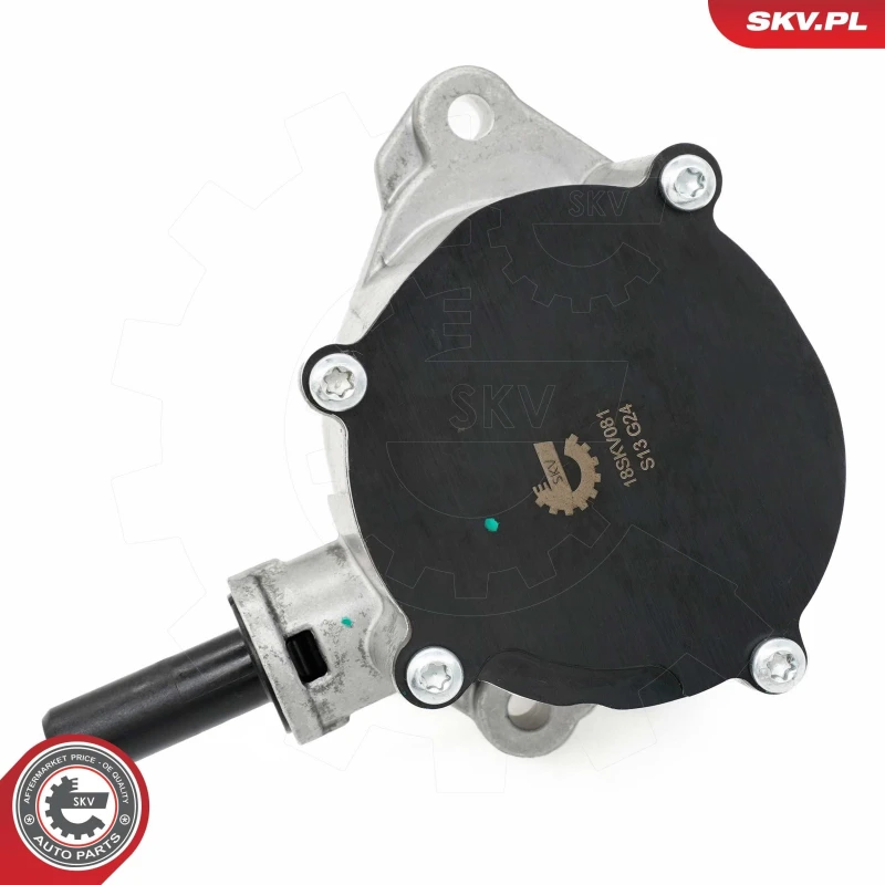 Image of ESEN SKV Brake vacuum pump ESEN SKV 18SKV081