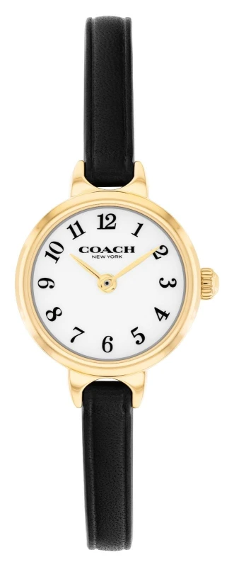 Image of Coach 14504654 Iris Two-Hand Quartz (22.5mm) White Dial / Watch