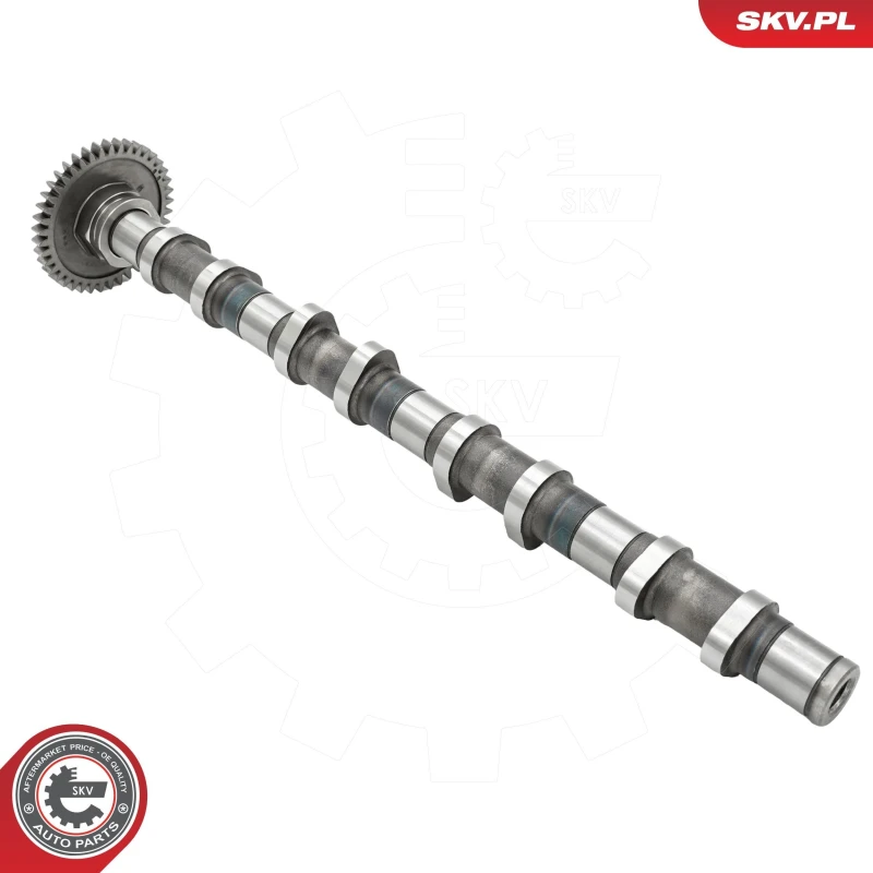 Image of ESEN SKV Camshaft ESEN SKV 80SKV013