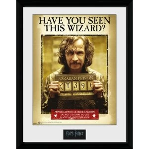 Image of Harry Potter Sirius Azkaban Collector Print (30 x 40cm)