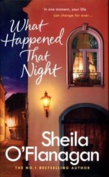 Image of What Happened That Night by Sheila Oflanagan Hardback