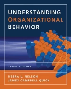 Image of Understanding organizational behavior by Debra Nelson