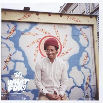 image of Toro Y Moi - What For CD