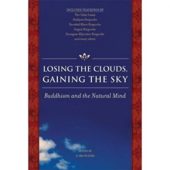 Image of Losing the Clouds Gaining the Sky by Doris Wolter Paperback