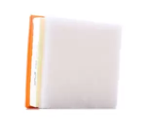 Image of PURFLUX Air filter BMW A1538 PC3361E,13718511668 Engine air filter,Engine filter