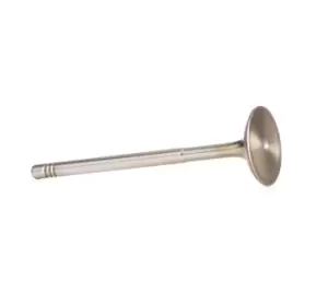 Image of RIDEX Inlet Valves 1269I0002 Intake Valves,Inlet Valve VW,AUDI,FORD,Golf IV Schragheck (1J1),Golf V Schragheck (1K1),POLO (9N_),TOURAN (1T1, 1T2)