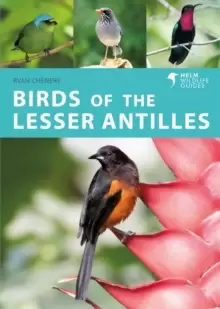 Image of Birds of the Lesser Antilles