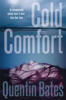Image of Cold Comfort : A chilling and atmospheric crime thriller full of twists