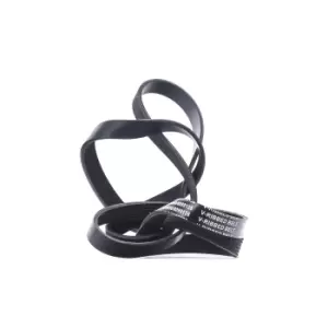 Image of RIDEX V-ribbed belt MERCEDES-BENZ,PUCH,VAUXHALL 305P0243 90528761,0039930896,0089973592 0119975692,0129975892,6039970092,89970192,A0039930896,91126388