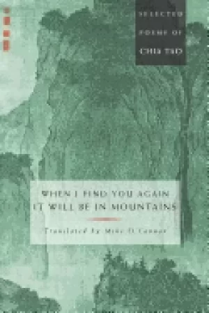 Image of when i find you again it will be in mountains selected poems of chia tao