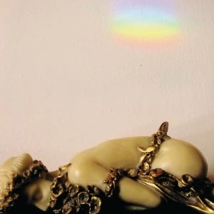 Image of Josephine Foster - No More Lamps In The Morning Vinyl