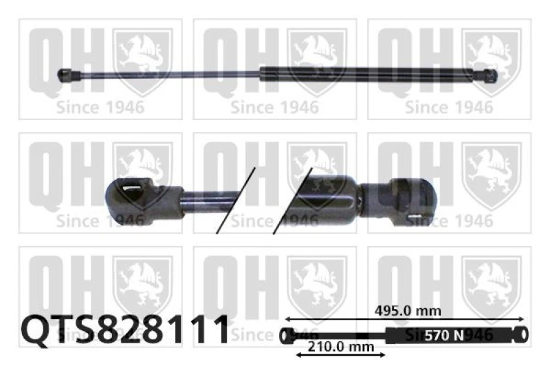 Image of QUINTON HAZELL Tailgate strut QUINTON HAZELL QTS828111